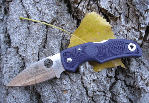 Spyderco Forum Purple Native 2009