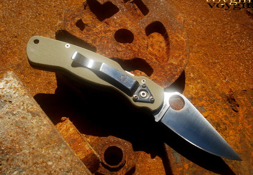 Spyderco Green 2