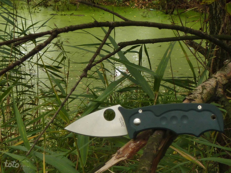 Spyderco_Lil_Temperance.jpg