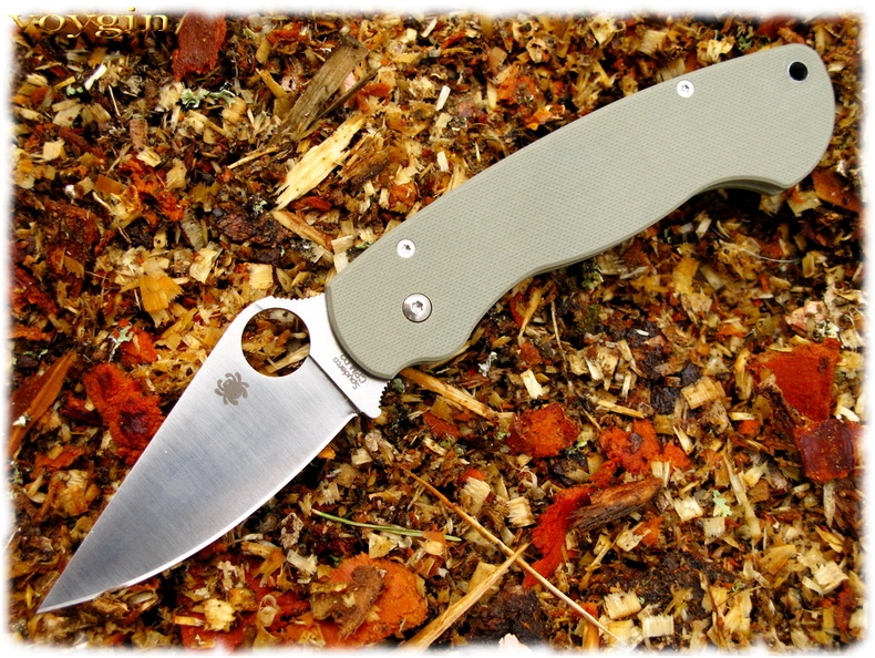 Spyderco_Paramilitary_05.jpg