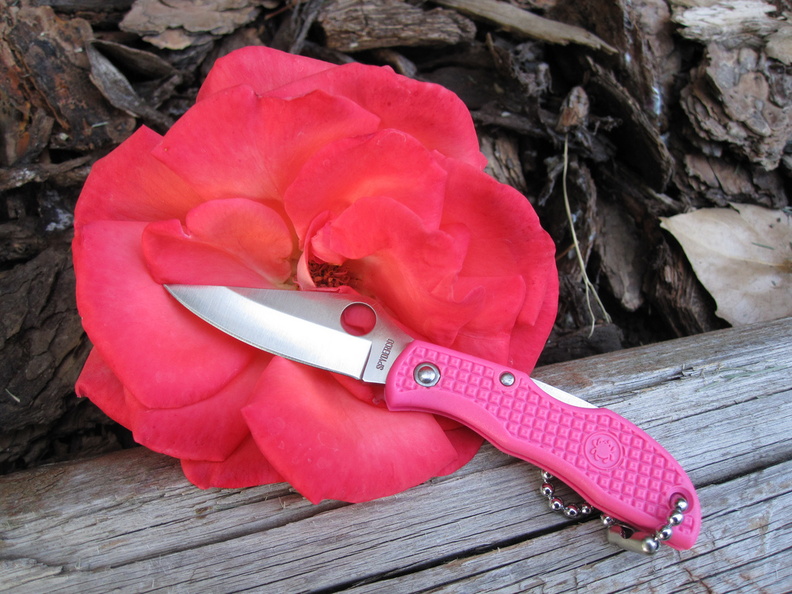 Spyderco_Pink_Ladybug_and_rose.jpg
