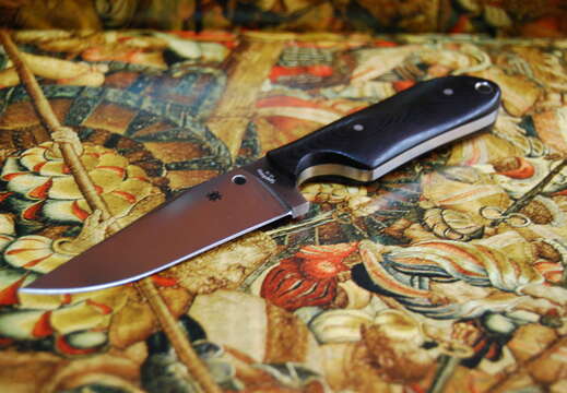 Spyderco Street Beat SCFB15P--001