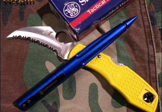 Spyderco Tasman Salt