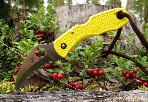 Spyderco Tasman Salt h1