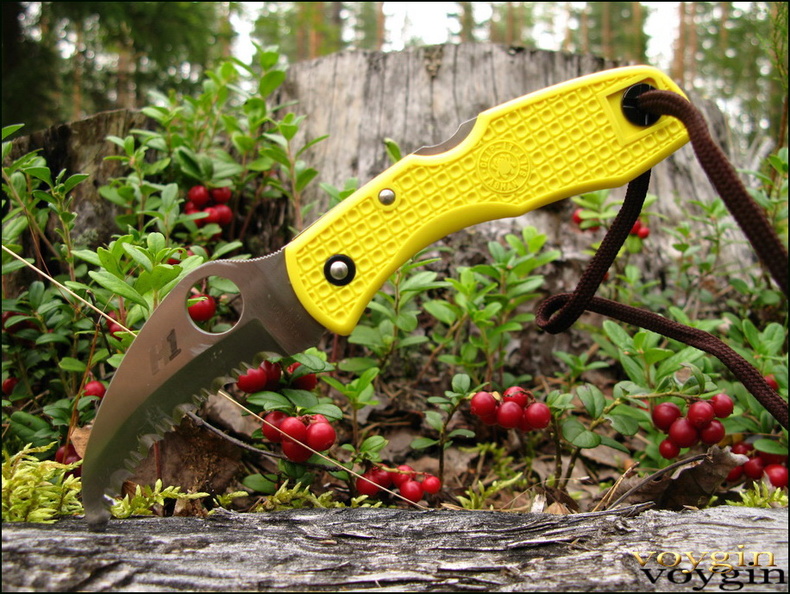 Spyderco_Tasman_Salt_h1.jpg
