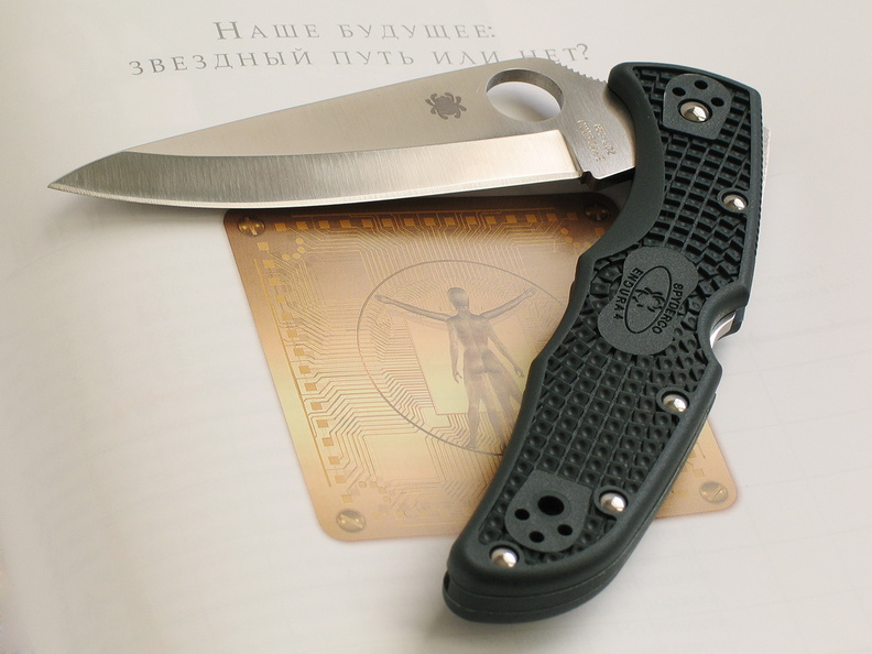 Spyderco_endura_1267.jpg