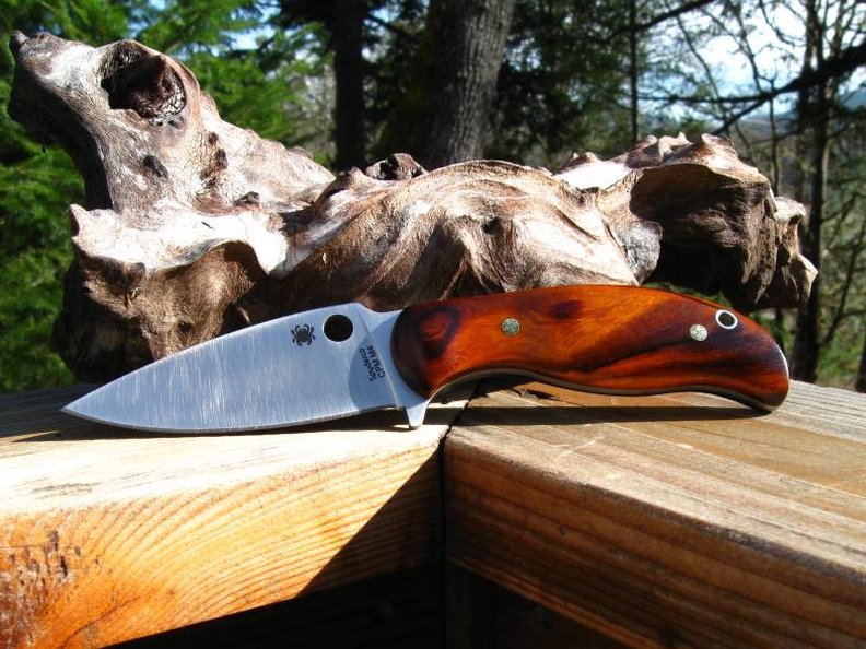 Spyderco_ironwood2fn1.jpg