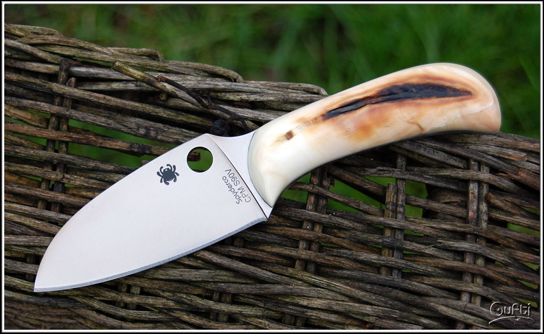 Spyderco_mule01.jpg