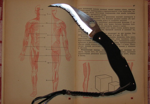 Unknown knives 882x6661