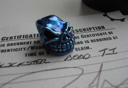 Titanium Skull1