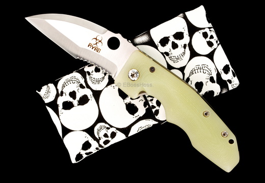 Steve Ryan 9065