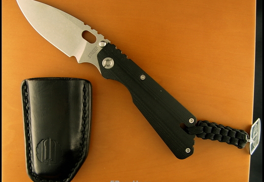 Strider 1810