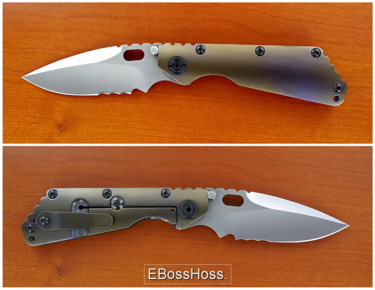 Strider_4024.jpg