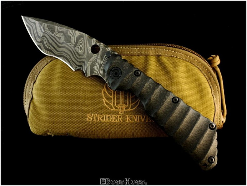 Strider_5071.jpg