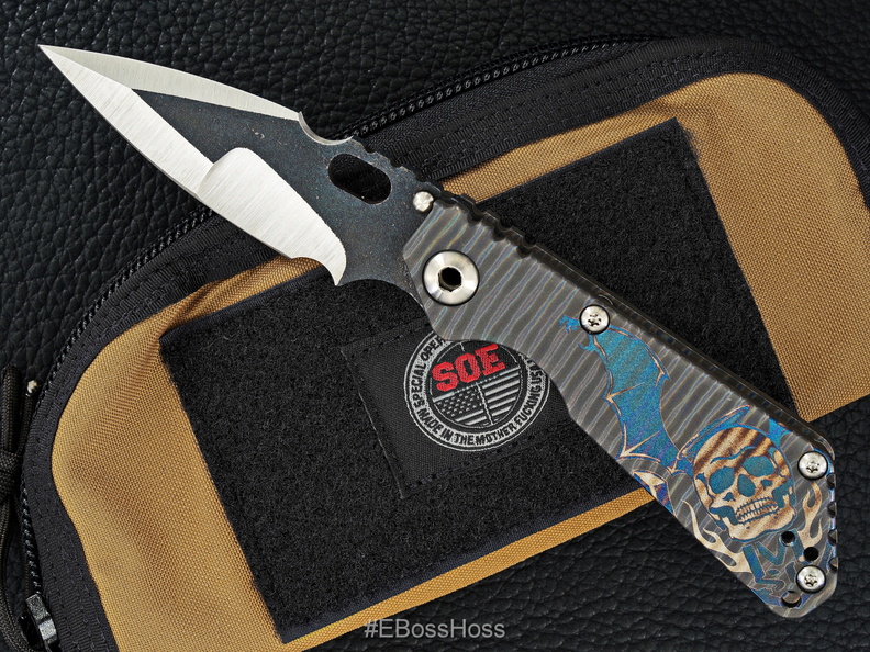 Strider_6270.jpg