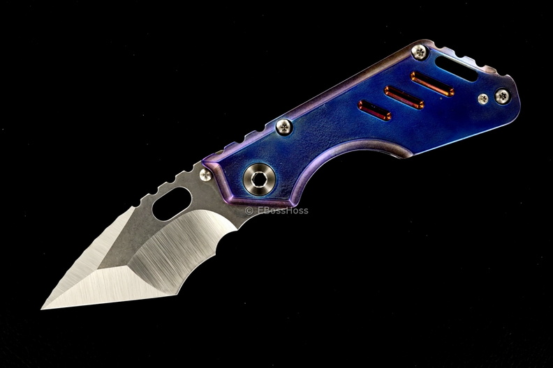 Strider_7117.jpg