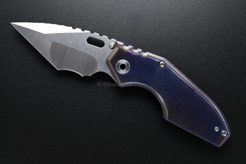 Strider_8872.jpg