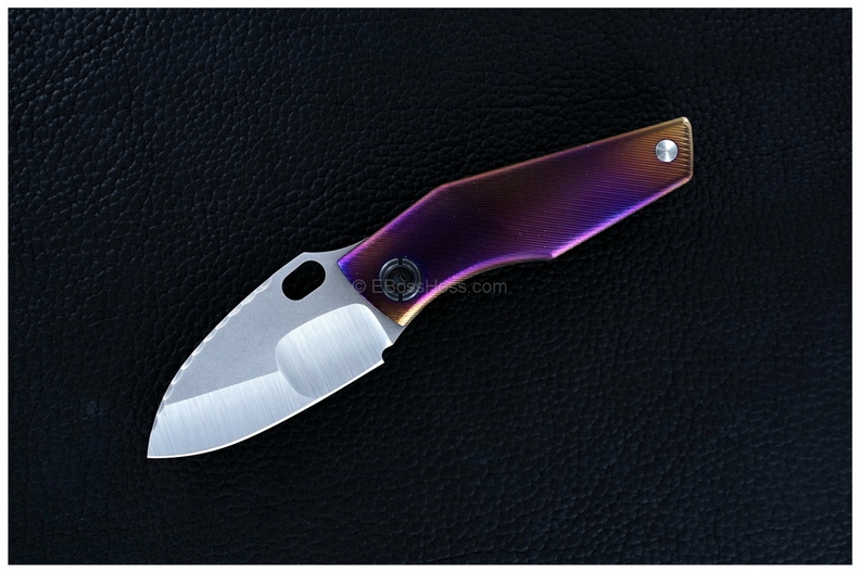 Strider_9385.jpg