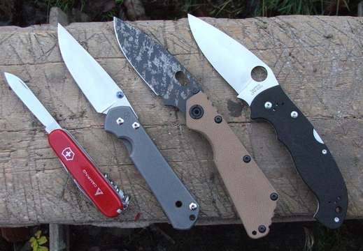 Strider Knives and sebenza 0363