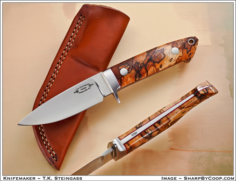 Steingass_110811A.jpg
