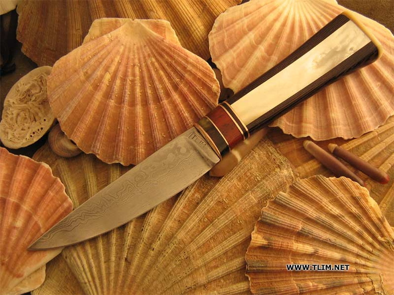 Tlim_knives_C232.jpg
