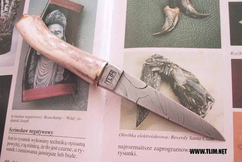 Tlim_knives_C90.jpg