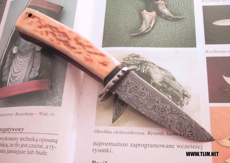 Tlim_knives_C92.jpg