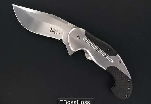 Todd Begg 1352