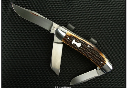 Tony Bose 1572