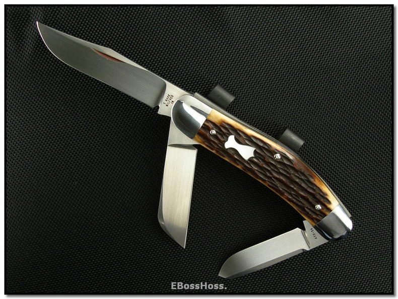 Tony_Bose_1572.jpg