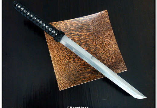 Wally Hayes Deluxe Hyabusa