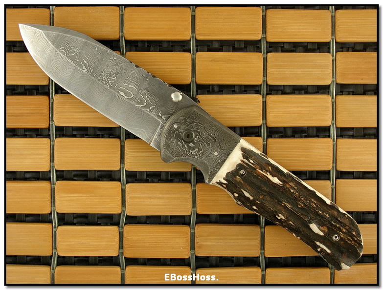 Wally_Hayes_Stag_Folder__Large.jpg
