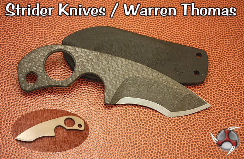 Warren_Thomas_Strider_Collaboration_SLCC.jpg