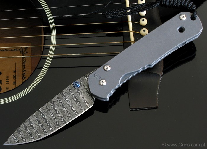 Chris_Reeve_Sebenza_700x504.jpg