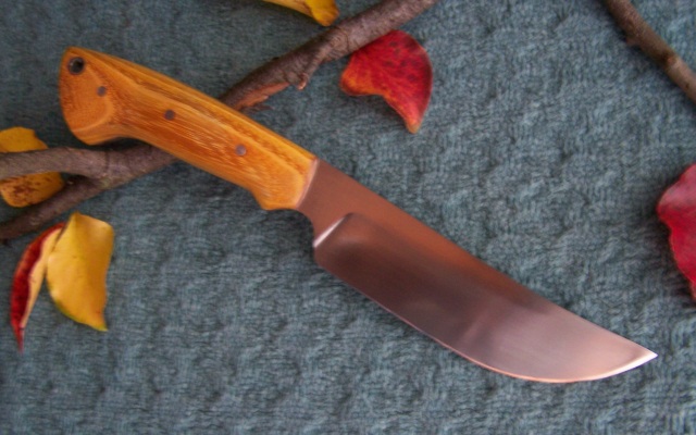 hunter1.jpg