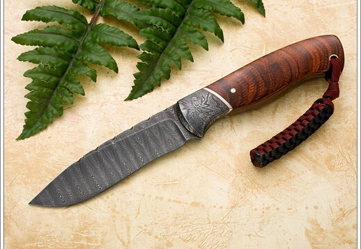 Michael Kanter C07 02ww