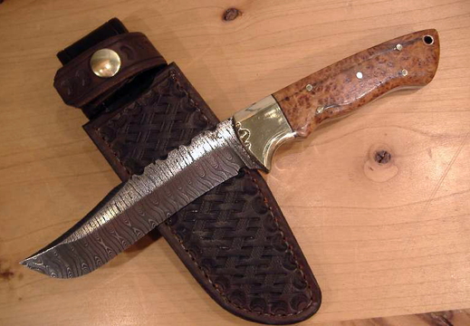 c11 800x533