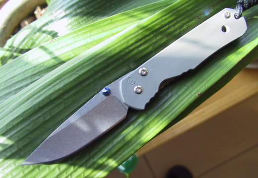 Chris Reeve Sebenza 1