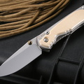 Chris Reeve Small Sebenza with Mammoth Ivory Inlay 1