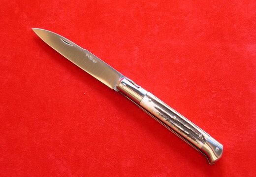 Issoire  12c27 Bois de cerf