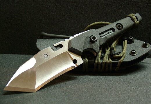 Dwaine Carrillo Vulcan Hybrid 2