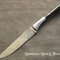 Guillaume Cote Damascus Bird  Trout
