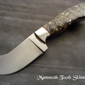 Guillaume Cote Mammoth Tooth Skinner