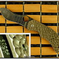 Jens Anso Damascus Zulu