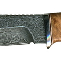 collection 74