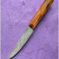 Parkinson Damasteel 210323C