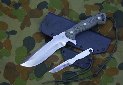 EliteCombat  Companion