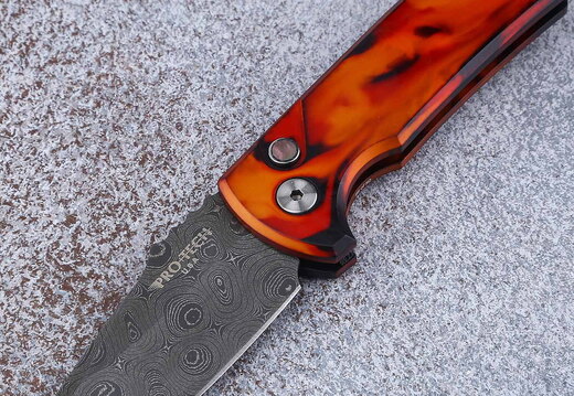 Pro-tech 493