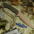 Spartan Ares  Flat Dark Earth wGreen Micarta