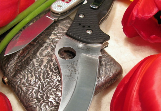SPYDERCO Chinook 2  VICTORINOX Soldier--001